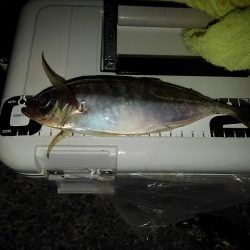 フロートゲーム～