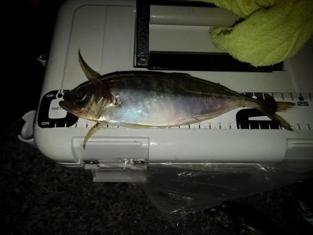 フロートゲーム～