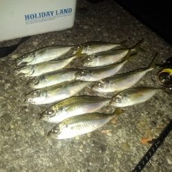 フロートゲーム