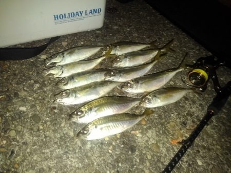 フロートゲーム