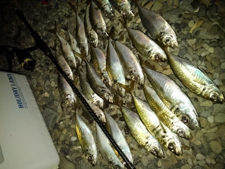 フロートゲーム