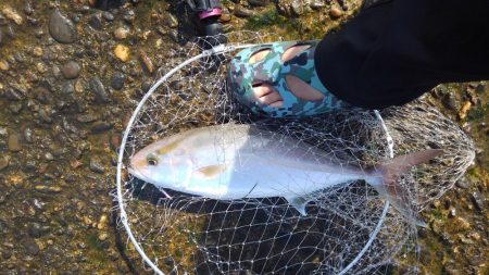 ホームで久しぶりに大漁♪