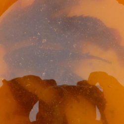 人工島は人がいっぱい