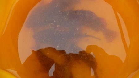 人工島は人がいっぱい