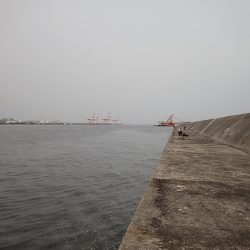 ミッドワインドでサイズアップ！