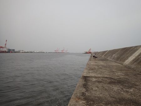 ミッドワインドでサイズアップ！