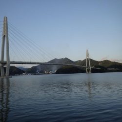 ミッドワインドでまさかの魚が!