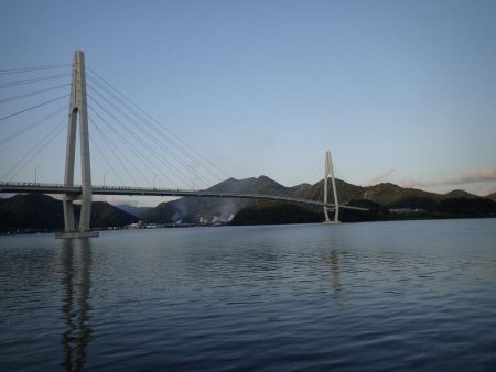 ミッドワインドでまさかの魚が!