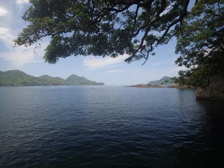 最後に本命、アコウ登場!