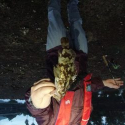 淡路島東部でライトロックフィッシング