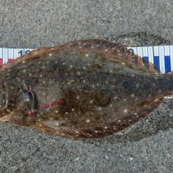 うれしい珍ゲスト！？