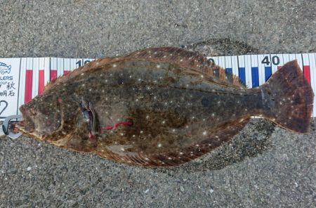 うれしい珍ゲスト！？