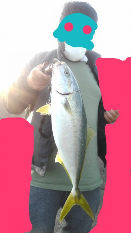 ハマチ47cm半年ぶりの青物　