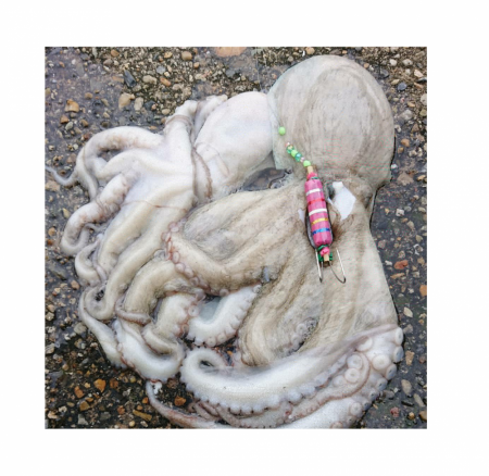 ショアタコゲーム