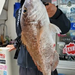 遊漁船 ニライカナイ 釣果