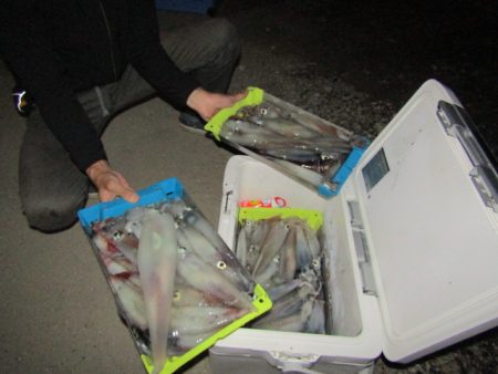 ジギング船 BLUEWATER 釣果