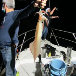 ジギング船 BLUEWATER 釣果