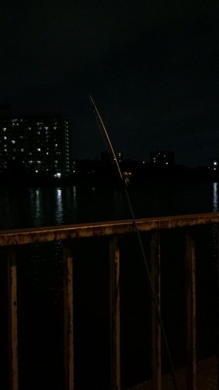 淀川のウナギ釣りパート10