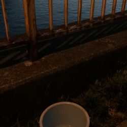 ウナギ釣りパート13