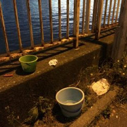 ウナギ釣りパート11