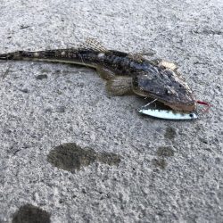 天降川のリベンジ