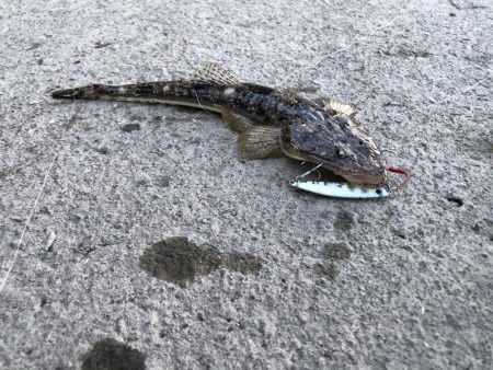 天降川のリベンジ