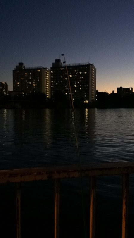 淀川のウナギ釣りパート9