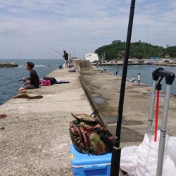 ショアジギング