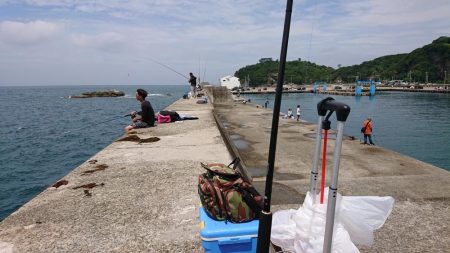 ショアジギング