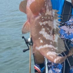 釣りを始めて３ヶ月初の大物‼️