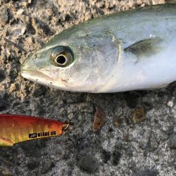 自粛明け１発目