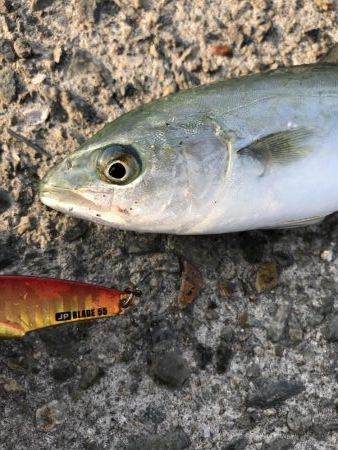 自粛明け１発目