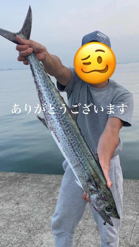 サワラ釣れてます!!