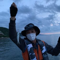 圧倒的サバ大群大挙