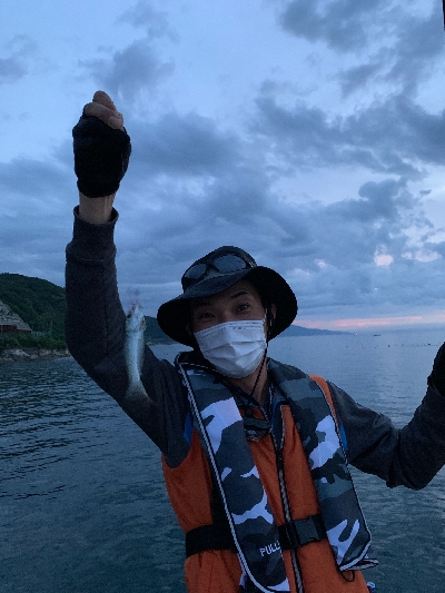 圧倒的サバ大群大挙