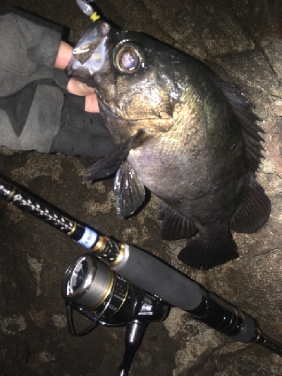 沖磯メバリング&エギング