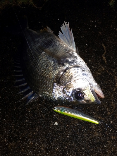 雨がやんだ隙に
