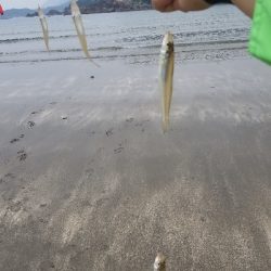 今日は、遅めの出発です。