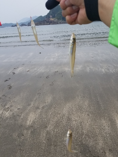 今日は、遅めの出発です。