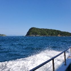 アオリイカ～！！