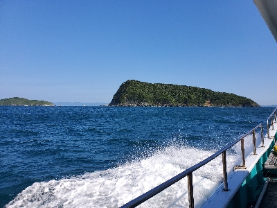 アオリイカ～！！