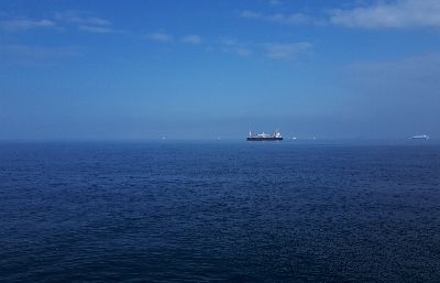 久しぶりの青物★