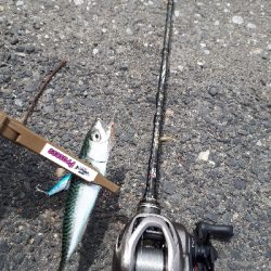 当面、サバゲーが続くのかなぁ~