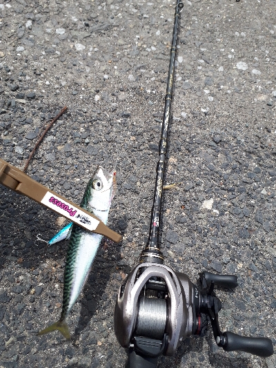 当面、サバゲーが続くのかなぁ~