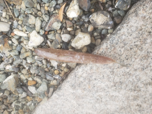 今日もダメでした