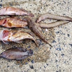 久しぶりに。。