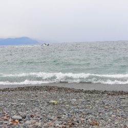 久々の静岡サーフ