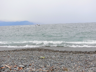 久々の静岡サーフ