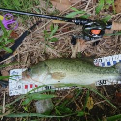 フリーリグでした