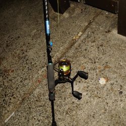 連日アオリGET!!